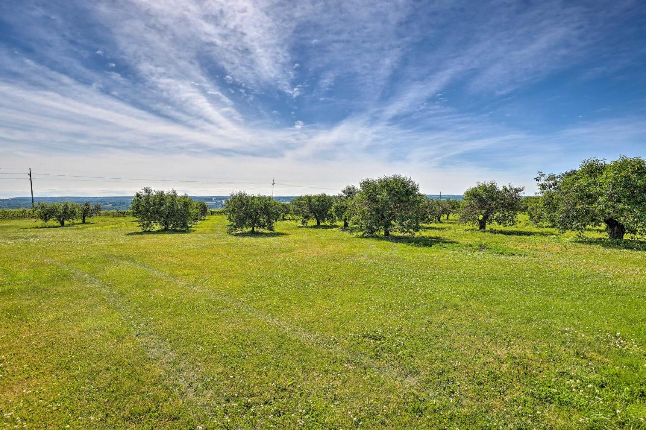 Finger Lakes Farm Retreat Walk to Wineries! Hector Eksteriør bilde