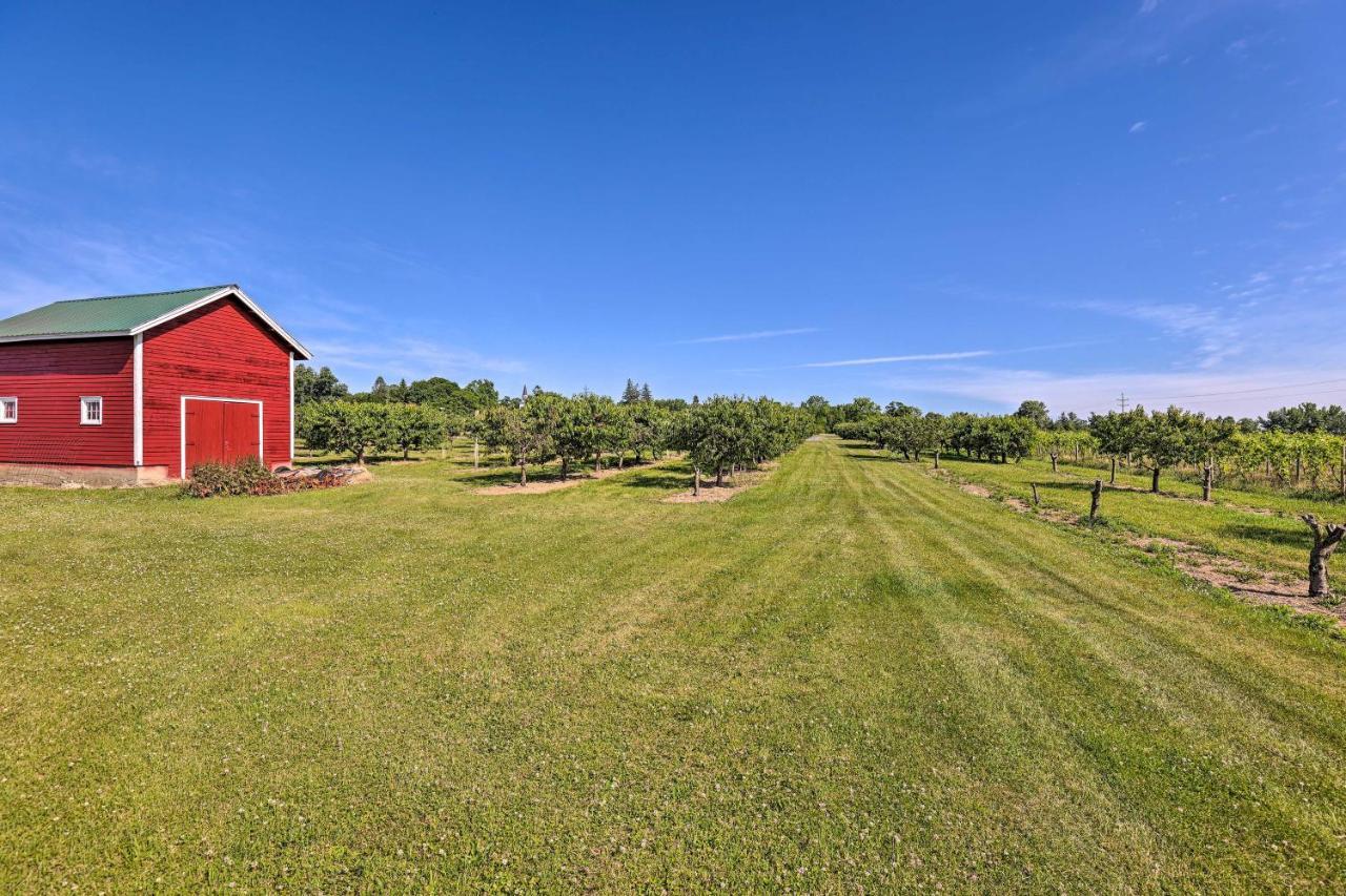 Finger Lakes Farm Retreat Walk to Wineries! Hector Eksteriør bilde