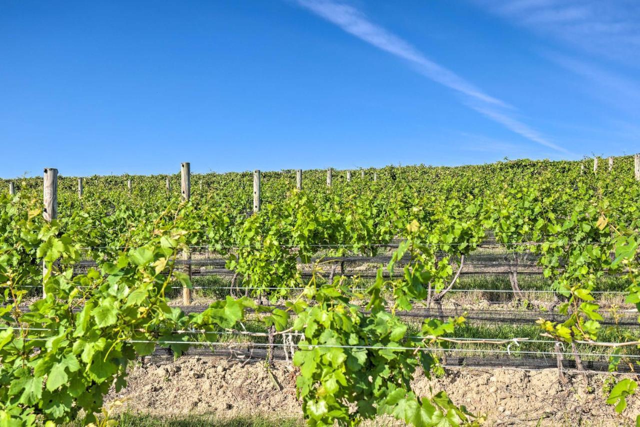 Finger Lakes Farm Retreat Walk to Wineries! Hector Eksteriør bilde