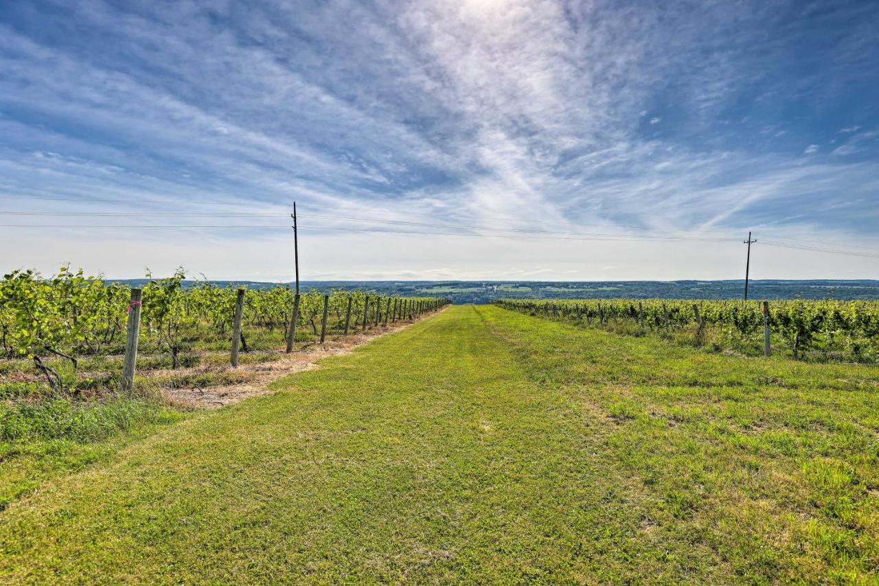 Finger Lakes Farm Retreat Walk to Wineries! Hector Eksteriør bilde